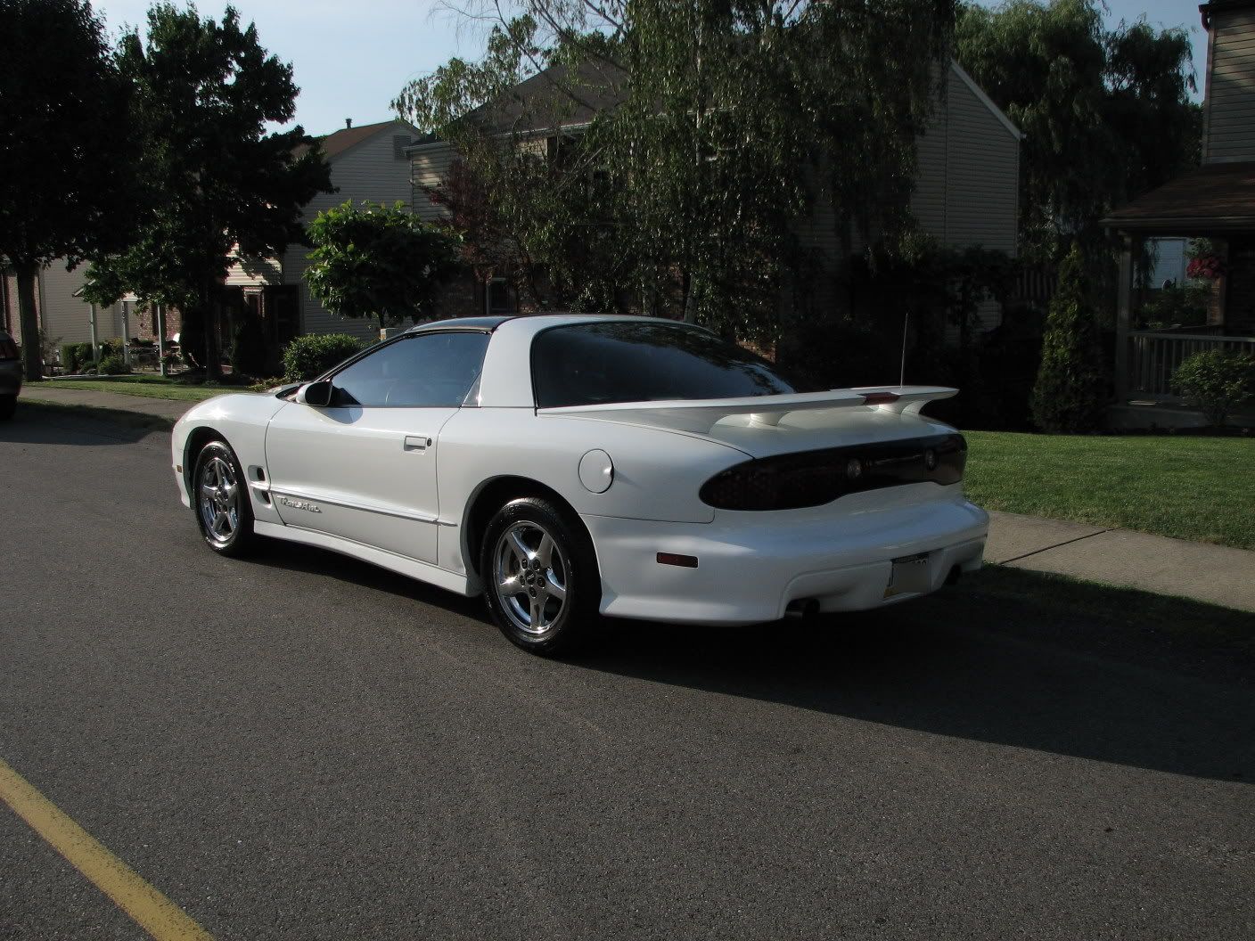 6-16-08Detail98Firebird001.jpg