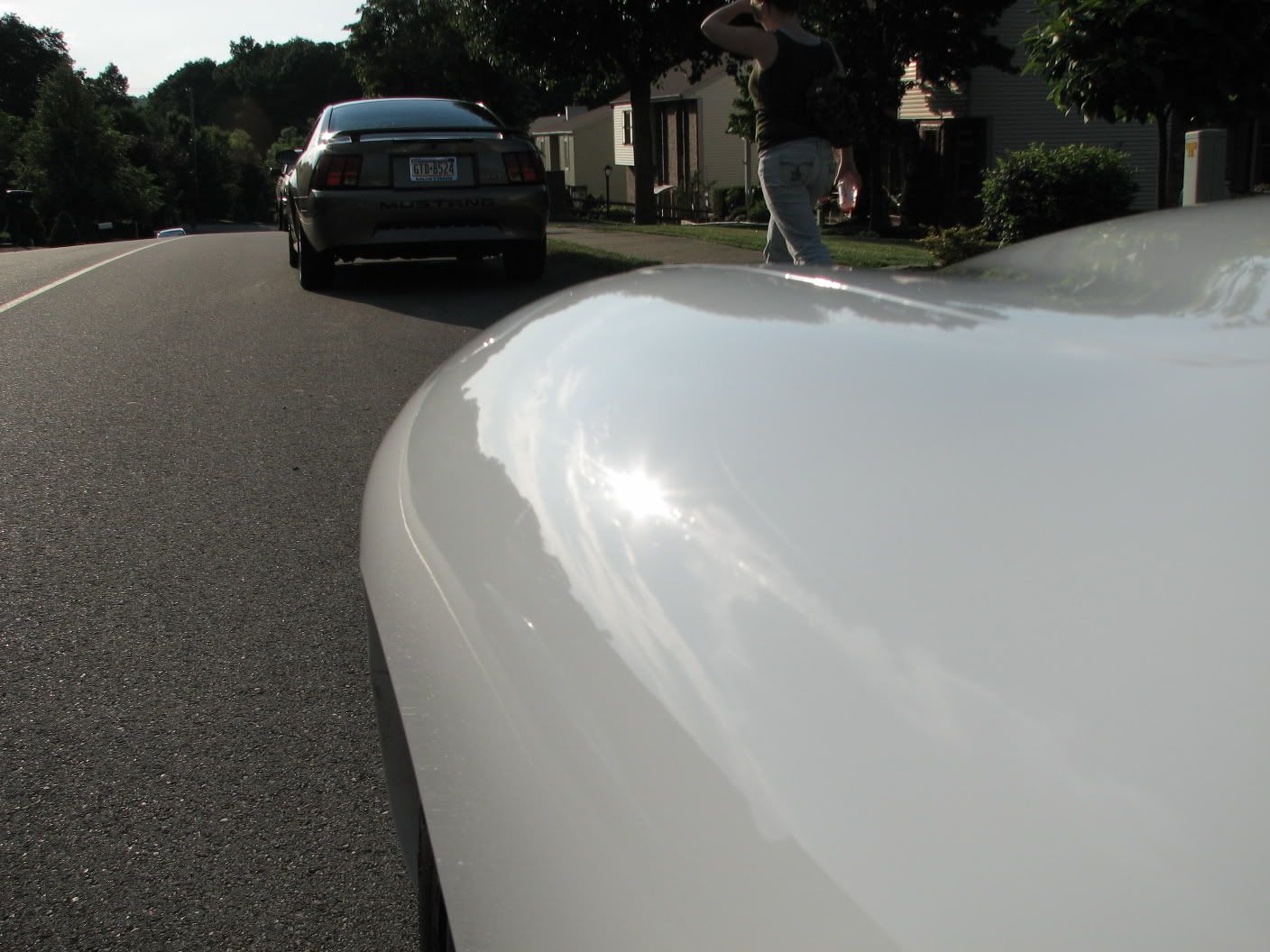 6-16-08Detail98Firebird003.jpg