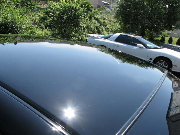 6-22-08Detail03impala010.jpg