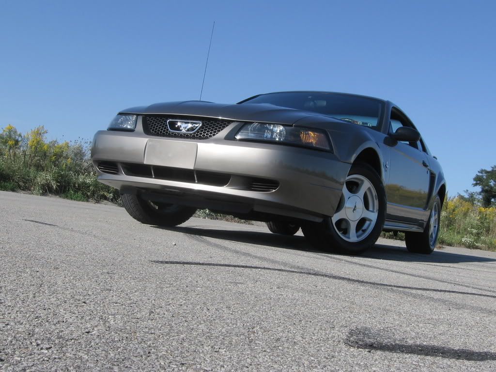 KaylasMustang005.jpg