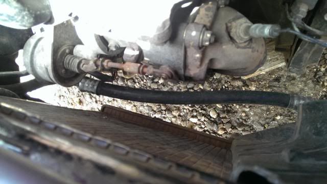 IMAG0260_zps93214912.jpg