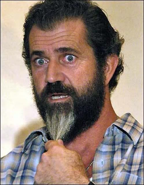 mel gibson younger. but will mel gibson be back as