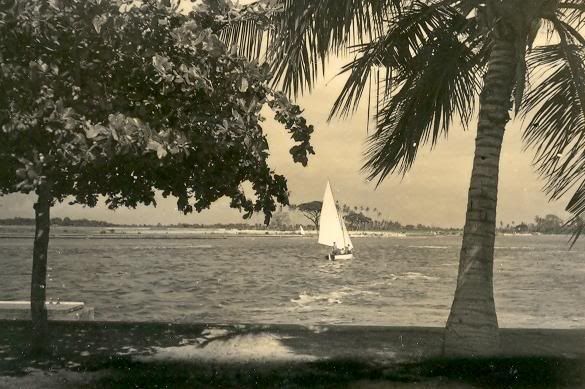 http://i90.photobucket.com/albums/k243/opino/08-trees-and-yacht-lagos-1951.jpg