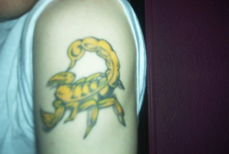 Scorpio Tattoo Funny Art Design in Arm