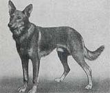 th_1899.jpg