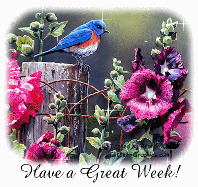  photo great week bird and flowers twinkling_zpsm2cbefx7.gif