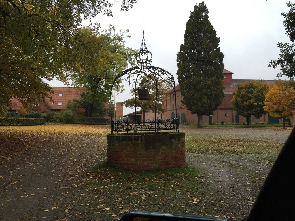 [Obrazek: IMG_6081_zps9keprqun.jpg]