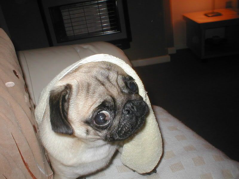 Corneal Graft Surgery