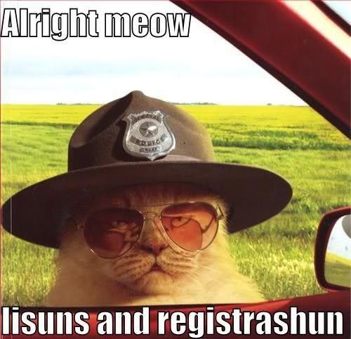 cat_sheriff.jpg
