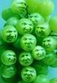 grapes.jpg