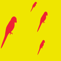 Pattern15.gif