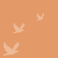 Pattern3.gif