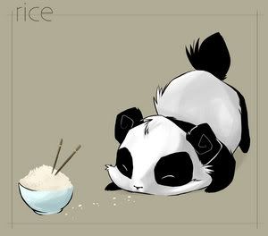 rice panda Pictures, Images and Photos
