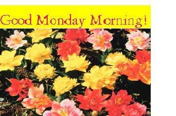 gdmnmdy.jpg Good Morning Monday image by chrissyb30