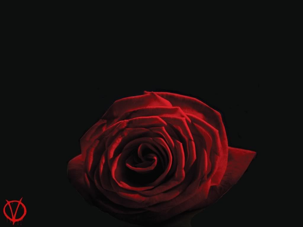 Scarlet Carson Pictures, Images and Photos