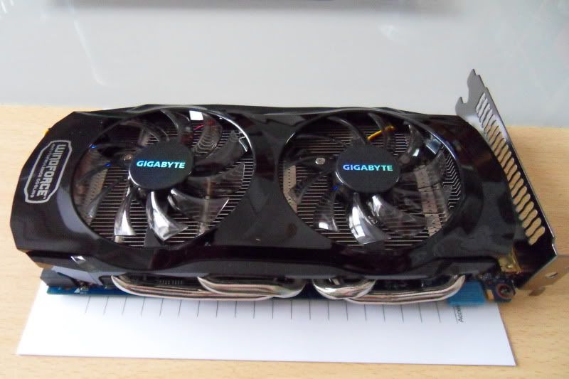 alooksee3.jpg