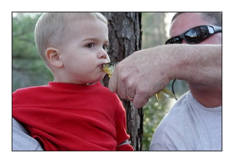 IMAGE: http://i90.photobucket.com/albums/k254/kathypatterson/IMG_9183k2.jpg