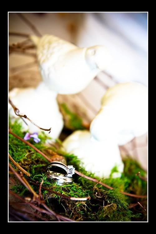 IMAGE: http://i90.photobucket.com/albums/k254/kathypatterson/britt_n_daniel/Britt-n-Daniel-Wedding-30-of-489.jpg