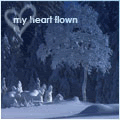 Untitled-1.gif
