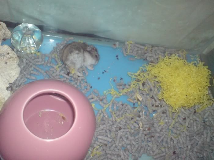 kukuong died):