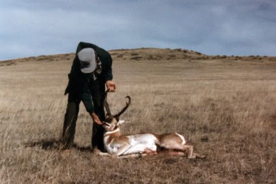 montana85_grandpa_lope1.jpg