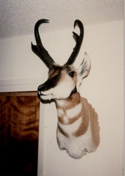 montana85_grandpa_mount.jpg