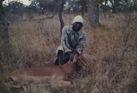 zimbabwe88_impala3.jpg