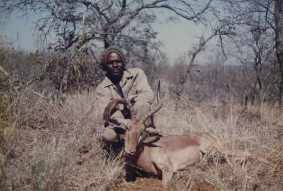 zimbabwe88_impala4.jpg