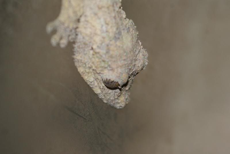 DSC01315.jpg