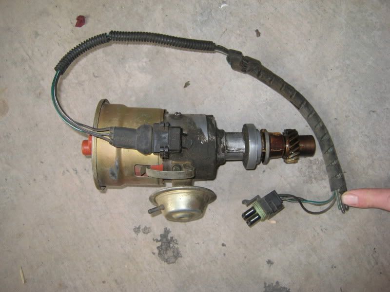 FS Vacuum Advance Dizzy VW Vortex Volkswagen Forum