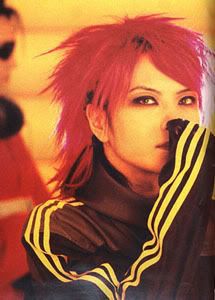 Hide Hide