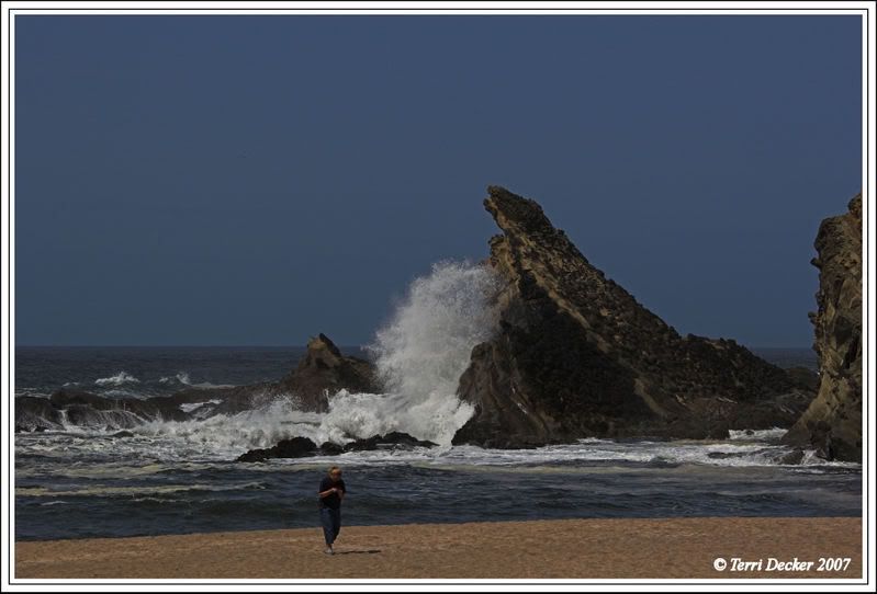 IMAGE: http://i90.photobucket.com/albums/k259/miss-pix/Nature/Shore%20Acres/LadyontheBeach2.jpg