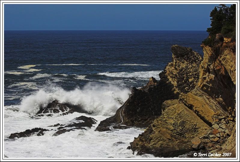 IMAGE: http://i90.photobucket.com/albums/k259/miss-pix/Nature/Shore%20Acres/Waves2.jpg