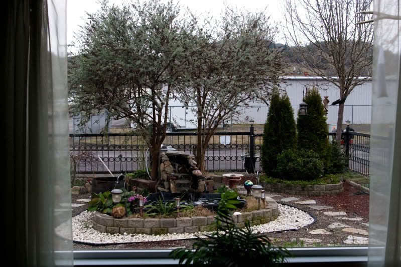 IMAGE: http://i90.photobucket.com/albums/k259/miss-pix/Nature/Tweeties%202011/Birds4of5.jpg