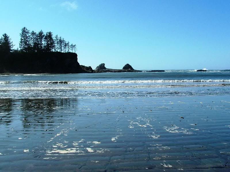 IMAGE: http://i90.photobucket.com/albums/k259/miss-pix/Oregon%20Beaches/SunsetView.jpg