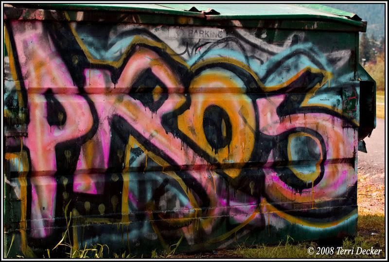 IMAGE: http://i90.photobucket.com/albums/k259/miss-pix/POTN/0805_graffiti001.jpg