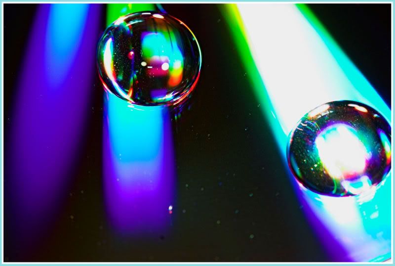 IMAGE: http://i90.photobucket.com/albums/k259/miss-pix/POTN/Abstract/IMG_1417-01.jpg