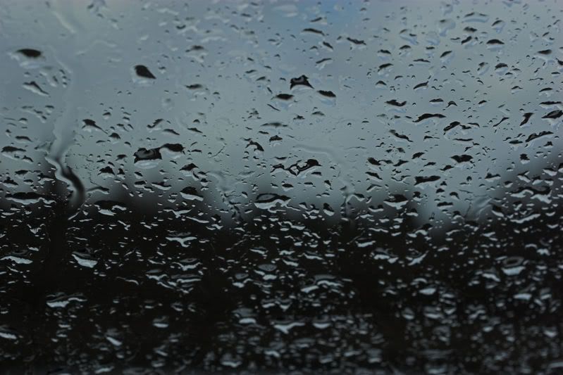IMAGE: http://i90.photobucket.com/albums/k259/miss-pix/POTN/Abstract/Raindrops.jpg