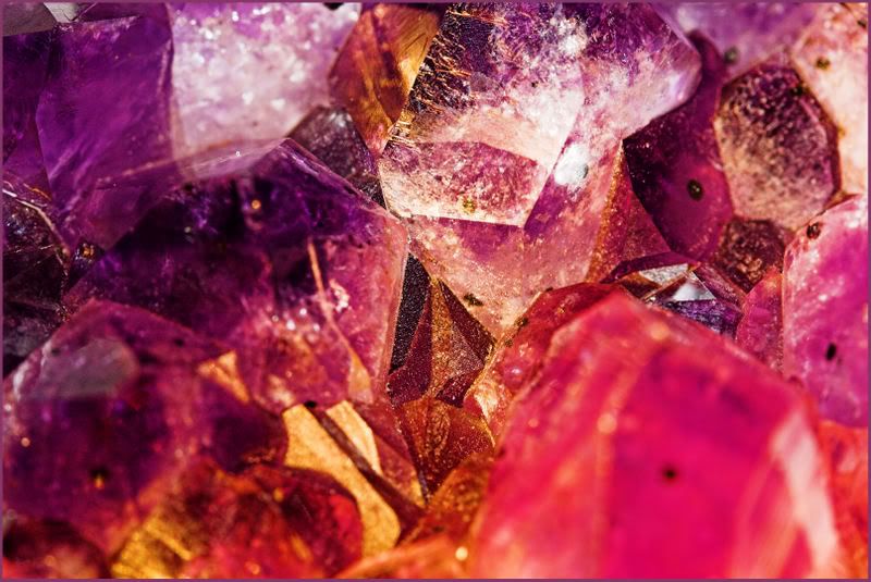 IMAGE: http://i90.photobucket.com/albums/k259/miss-pix/POTN/IMG_1411-01.jpg