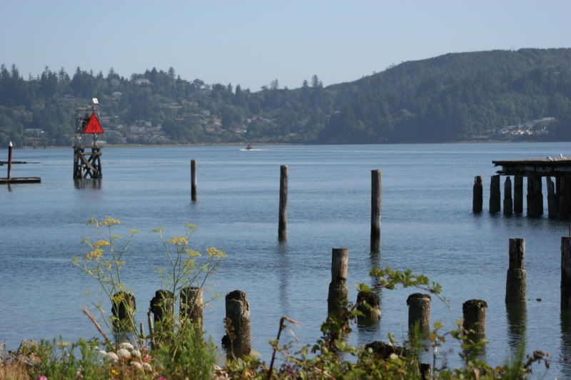 IMAGE: http://i90.photobucket.com/albums/k259/miss-pix/POTN/NorthBend016.jpg