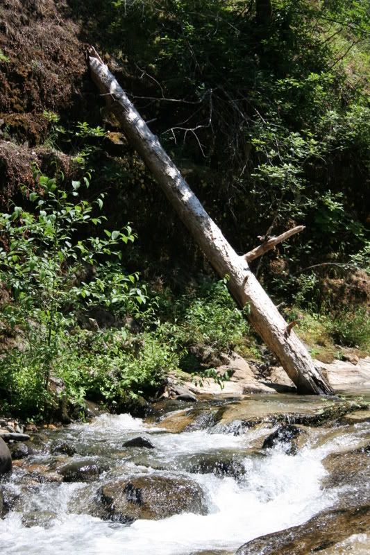 IMAGE: http://i90.photobucket.com/albums/k259/miss-pix/POTN/misc053.jpg