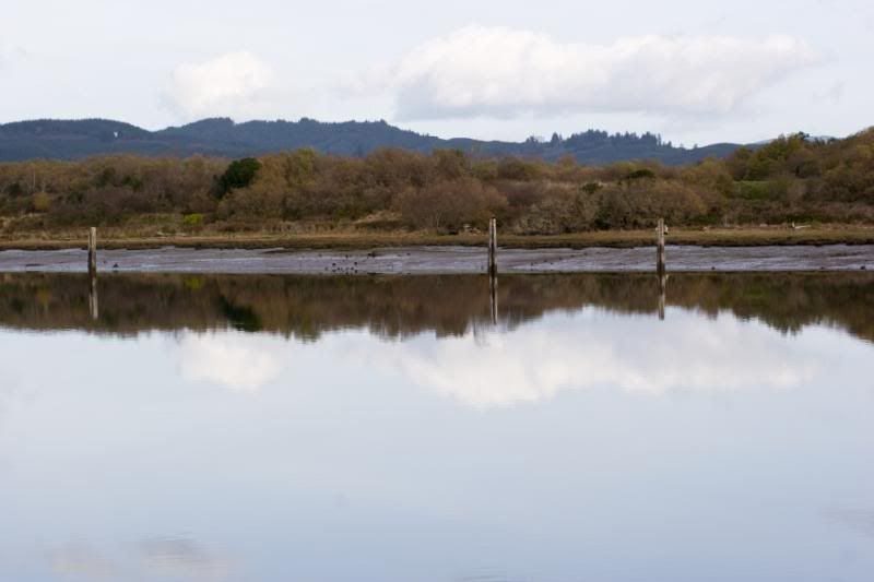 IMAGE: http://i90.photobucket.com/albums/k259/miss-pix/People/CB%20Boardwalk%20and%20Debs%20Visit/VisitingDeb-6474.jpg