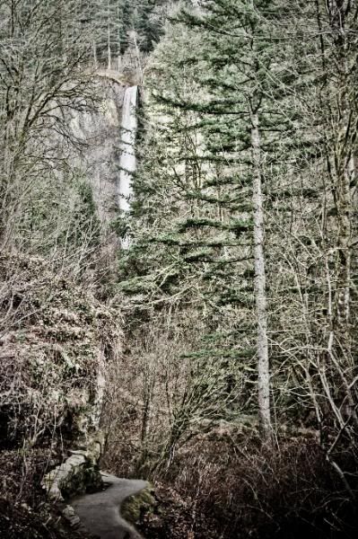 IMAGE: http://i90.photobucket.com/albums/k259/miss-pix/People/Cat%20and%20Lisa%20visit/TPBMvisit-7170-2.jpg