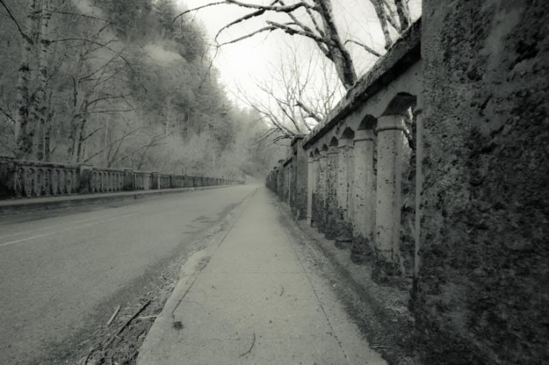 IMAGE: http://i90.photobucket.com/albums/k259/miss-pix/People/Cat%20and%20Lisa%20visit/TPBMvisit-7173-2.jpg