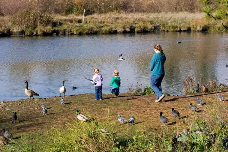 IMAGE: http://i90.photobucket.com/albums/k259/miss-pix/People/Random%20People/ChasingDucks-6502.jpg