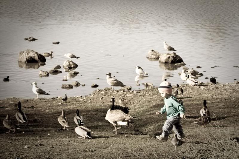 IMAGE: http://i90.photobucket.com/albums/k259/miss-pix/People/Random%20People/ChasingDucks-6504-2.jpg