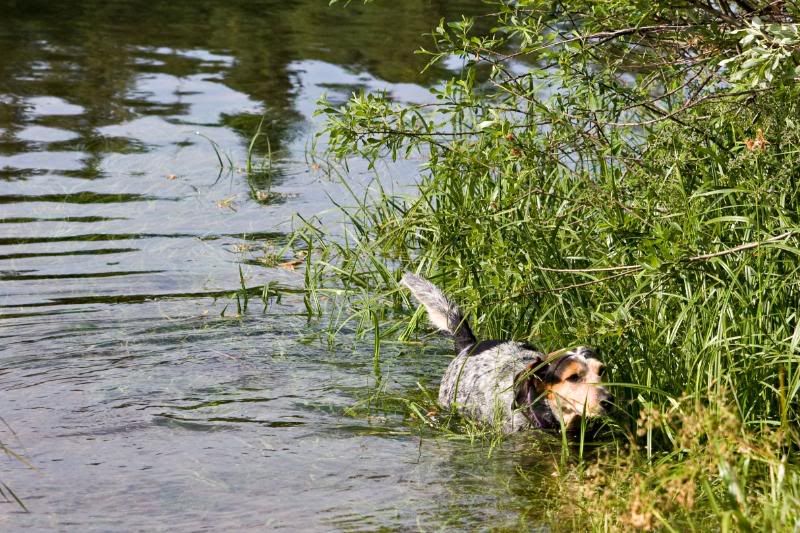 IMAGE: http://i90.photobucket.com/albums/k259/miss-pix/Places/Lemolo%2008/0806_Lemolo086.jpg