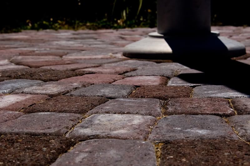 IMAGE: http://i90.photobucket.com/albums/k259/miss-pix/Places/Shore%20Acres%2008/ShoreAcres-5115.jpg