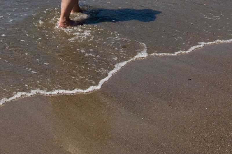 IMAGE: http://i90.photobucket.com/albums/k259/miss-pix/Places/Shore%20Acres%2008/ShoreAcres-5131.jpg