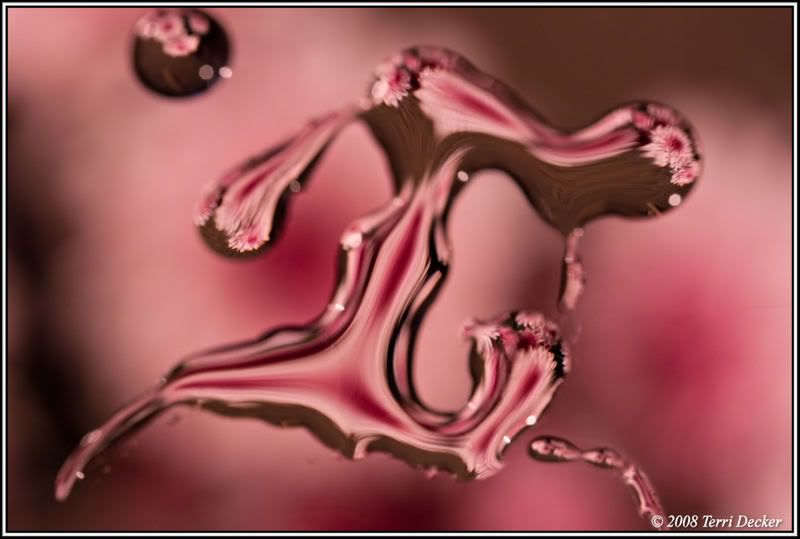 IMAGE: http://i90.photobucket.com/albums/k259/miss-pix/Stills/0804_refractionsandlight001.jpg